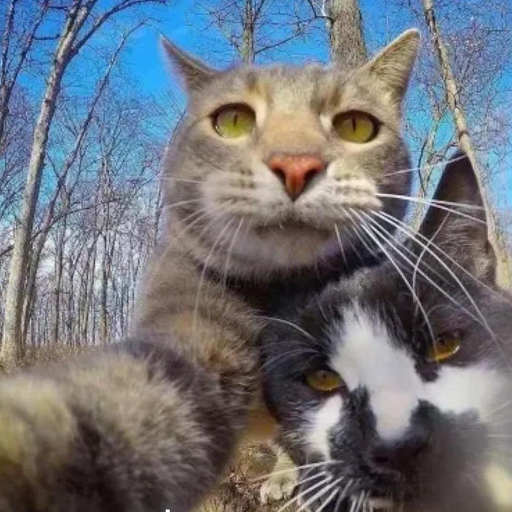 南通胜翔新材料科技有限公司