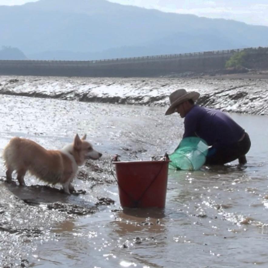 狗·男人赶海