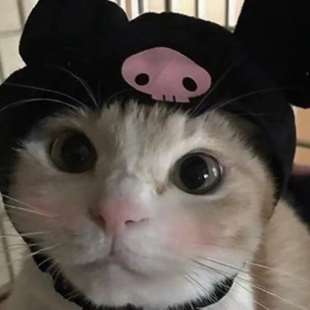 小猪落水、
