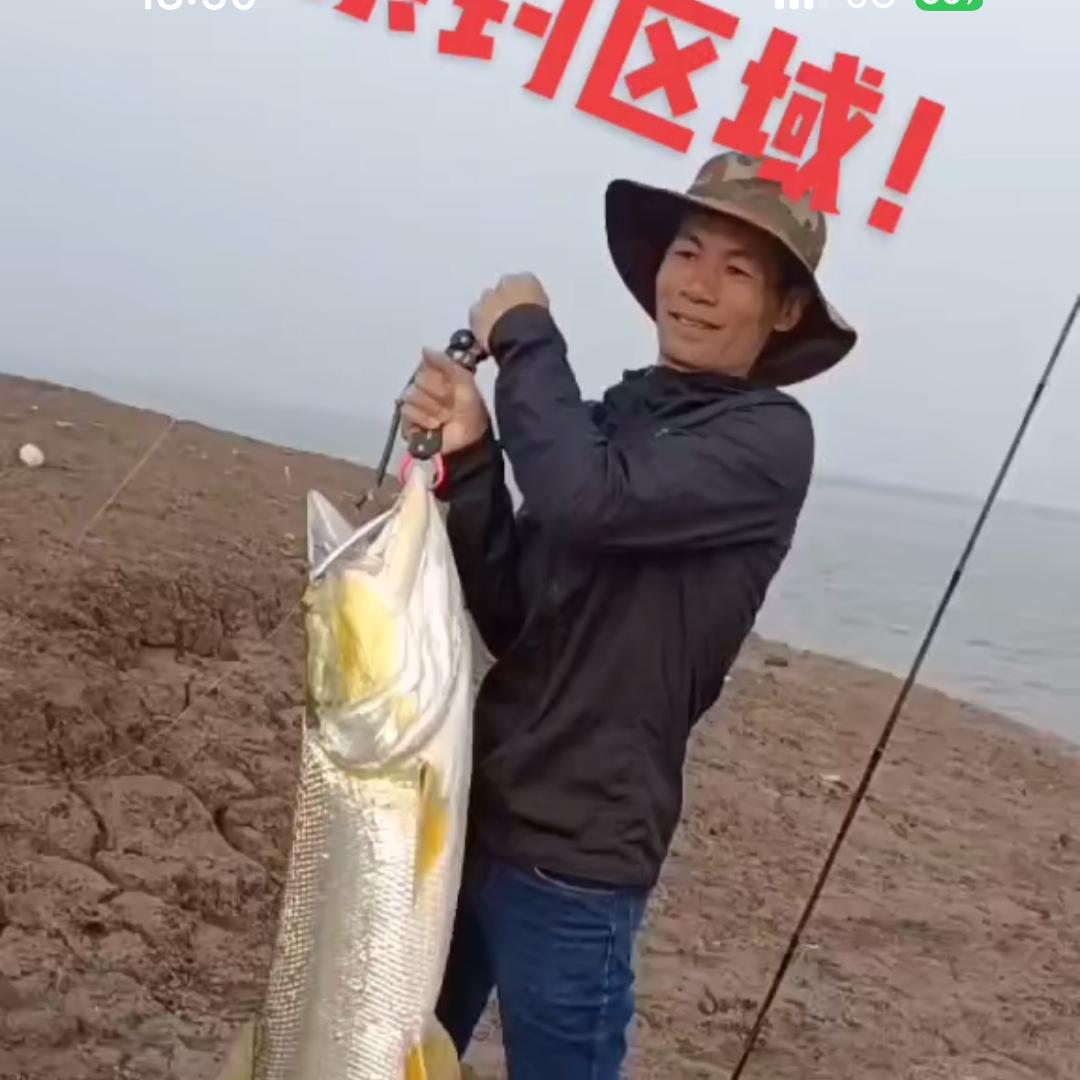 洞庭阿伟