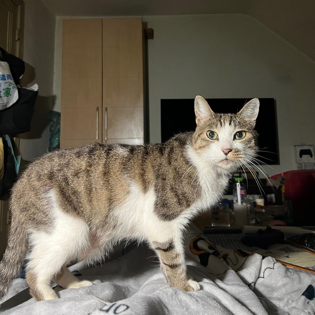 电玩机地🧚🏻‍♀️³²⁶