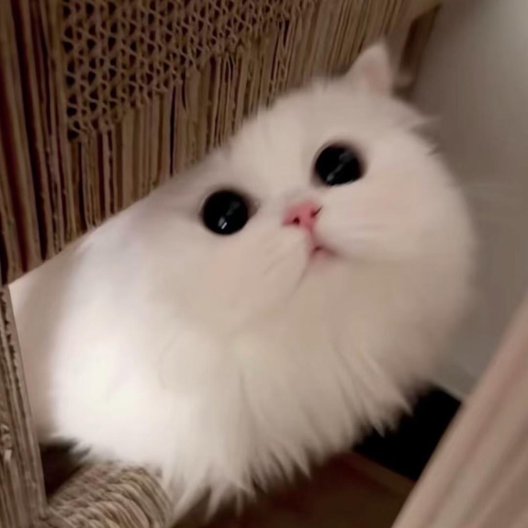 minicc