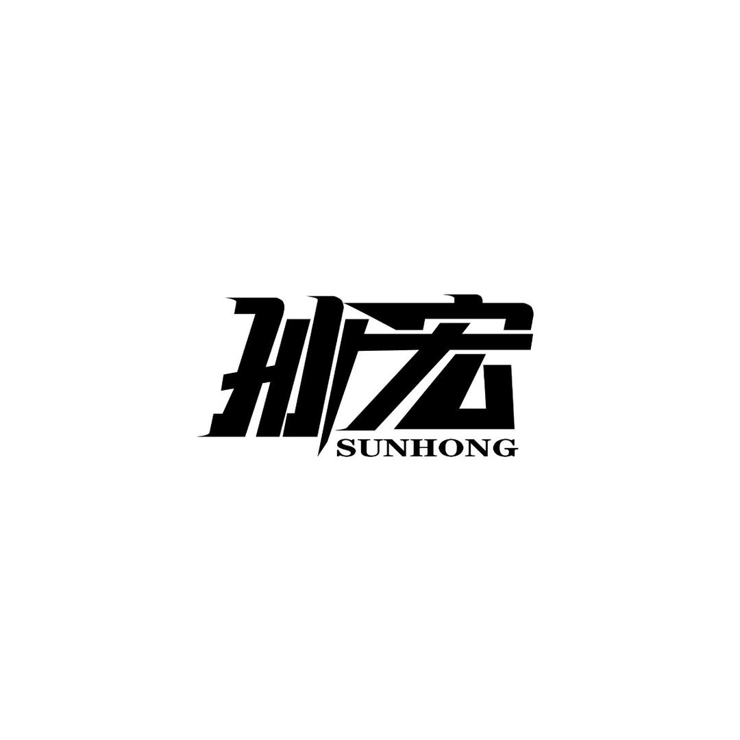 孙宏是个主持人