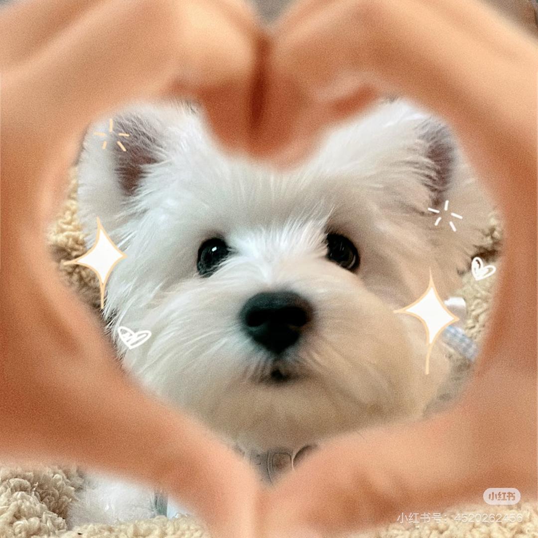 小琴琴🤗