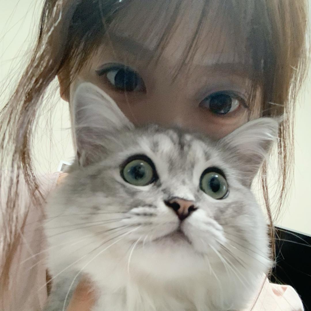 网瘾大驴子