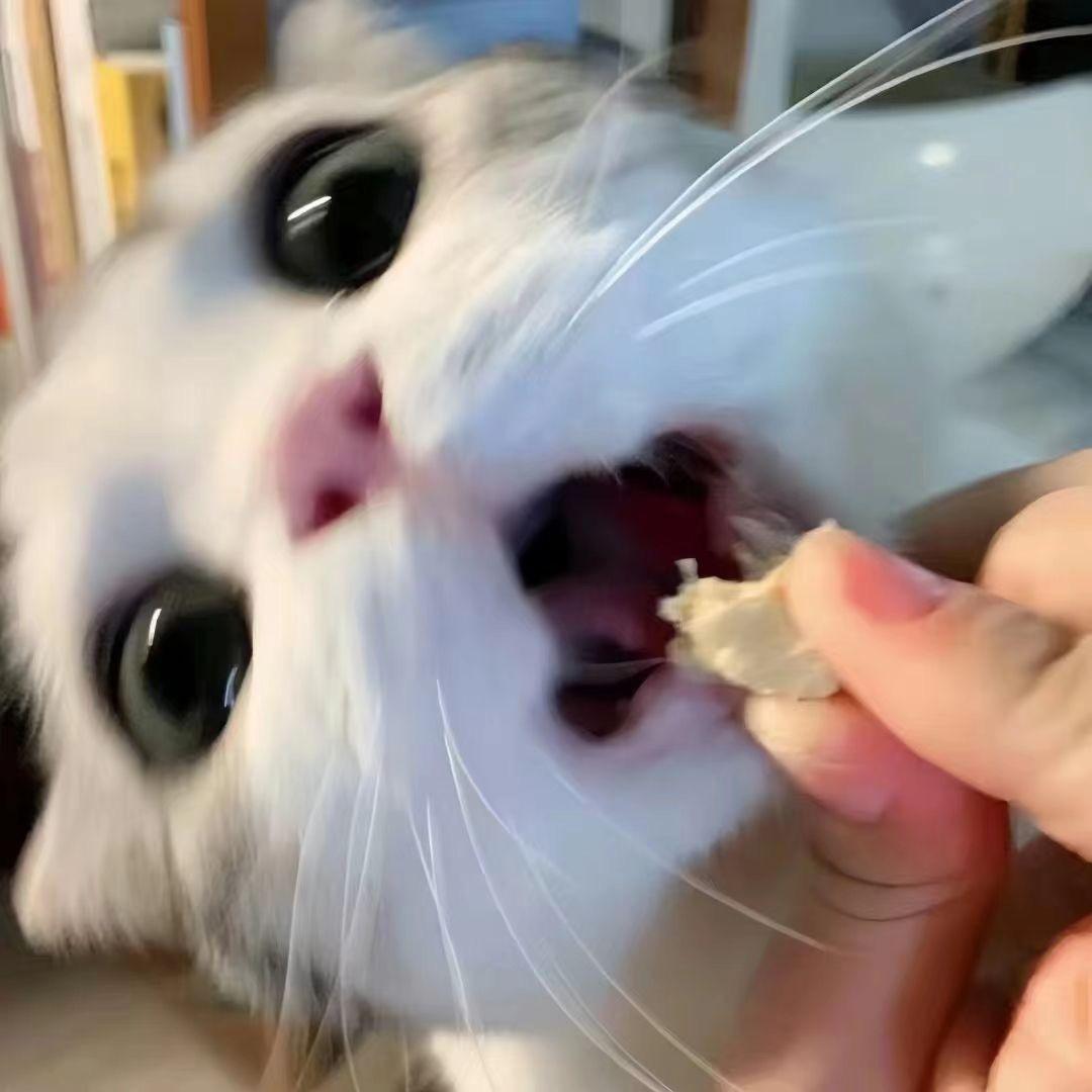 望仔zzz
