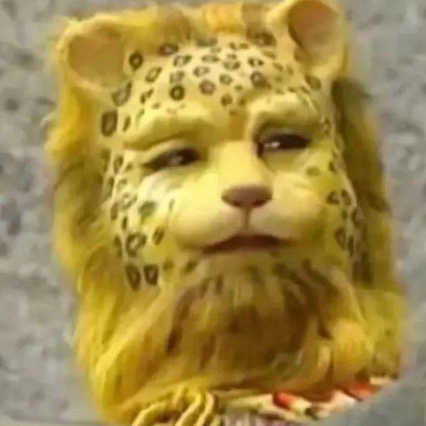 金钱豹