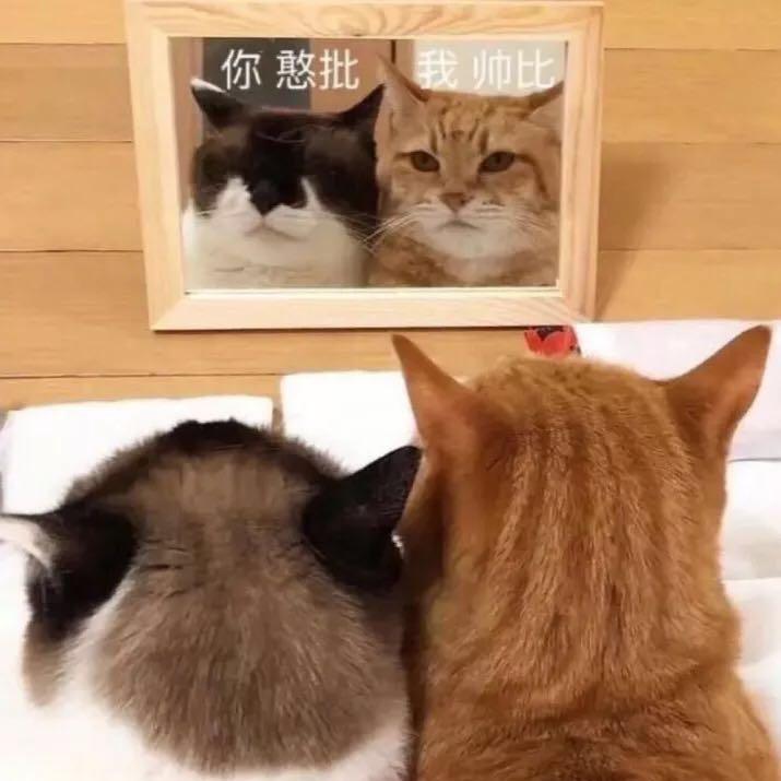 奈特罗德神父