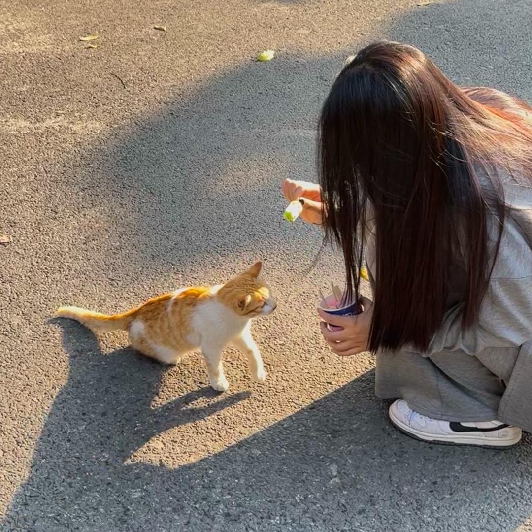 乐优淘汽车用品店