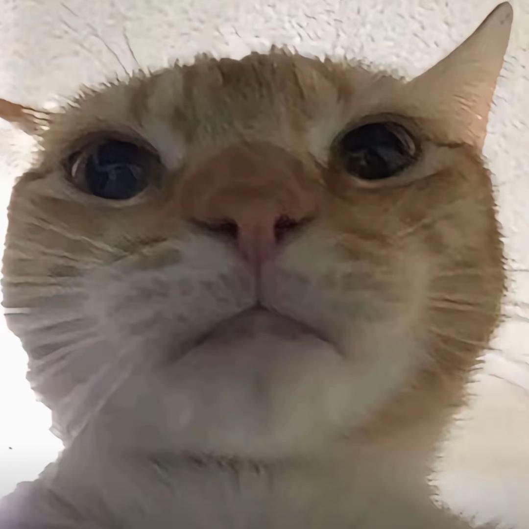 huhu