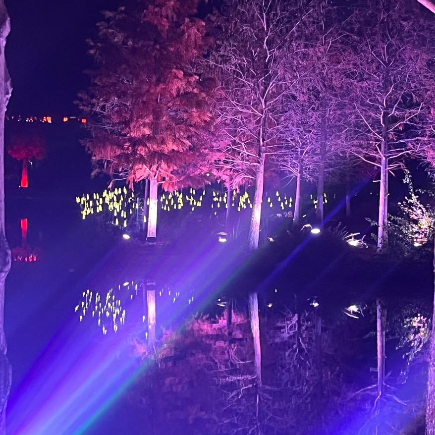 ：     逆风者ღ