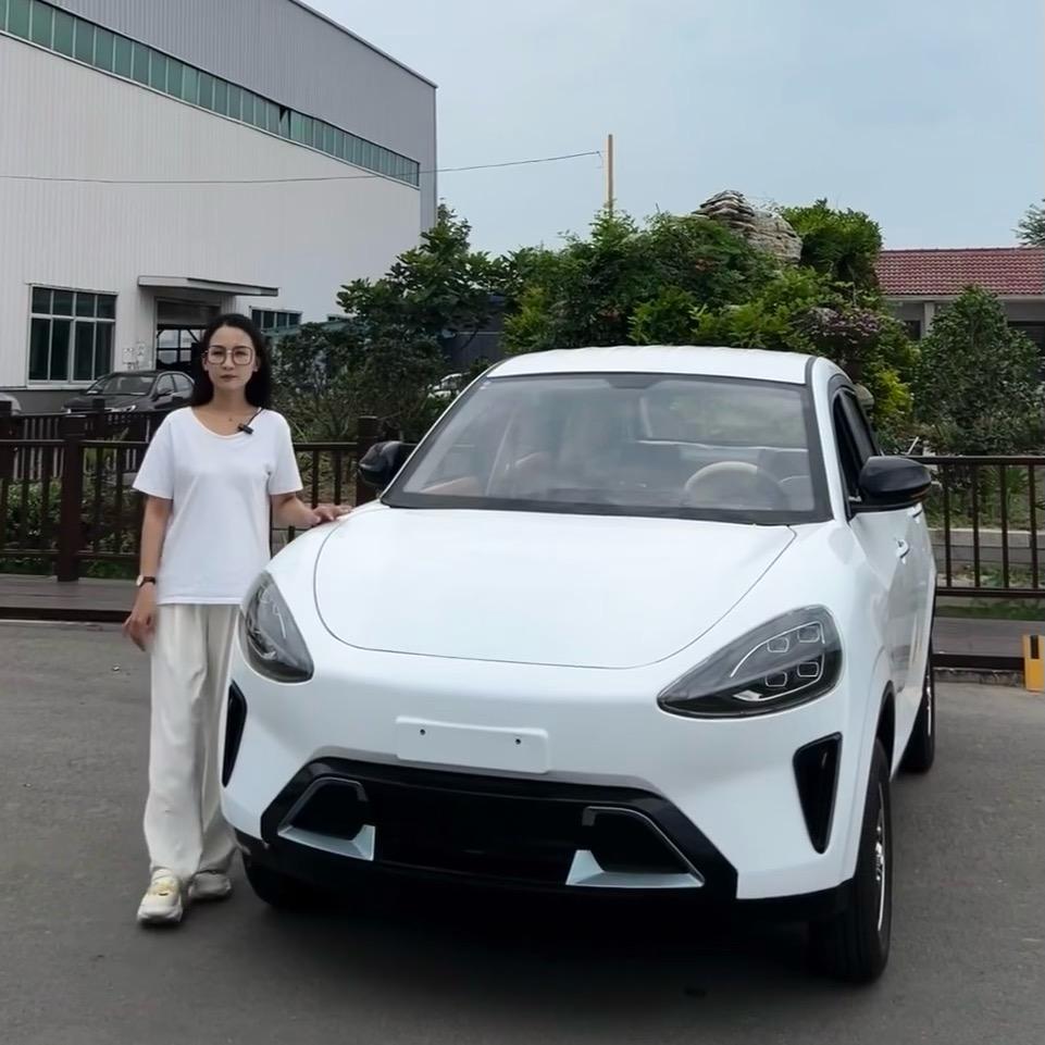 凌速新能源厂家