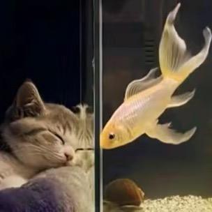 “Na”缕阳光～💜☀️