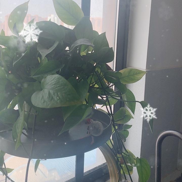 众缇百货
