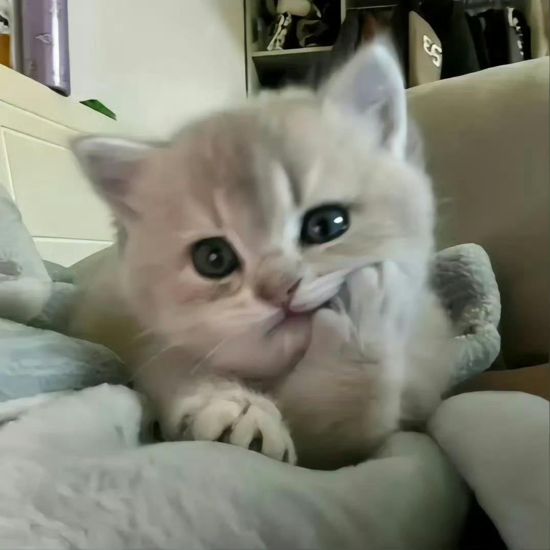 奶^昔
