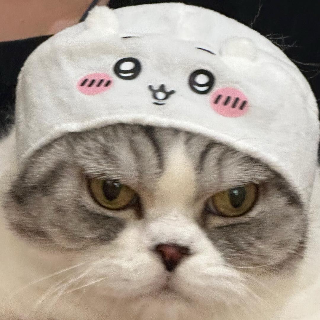 甜老师的凑凑