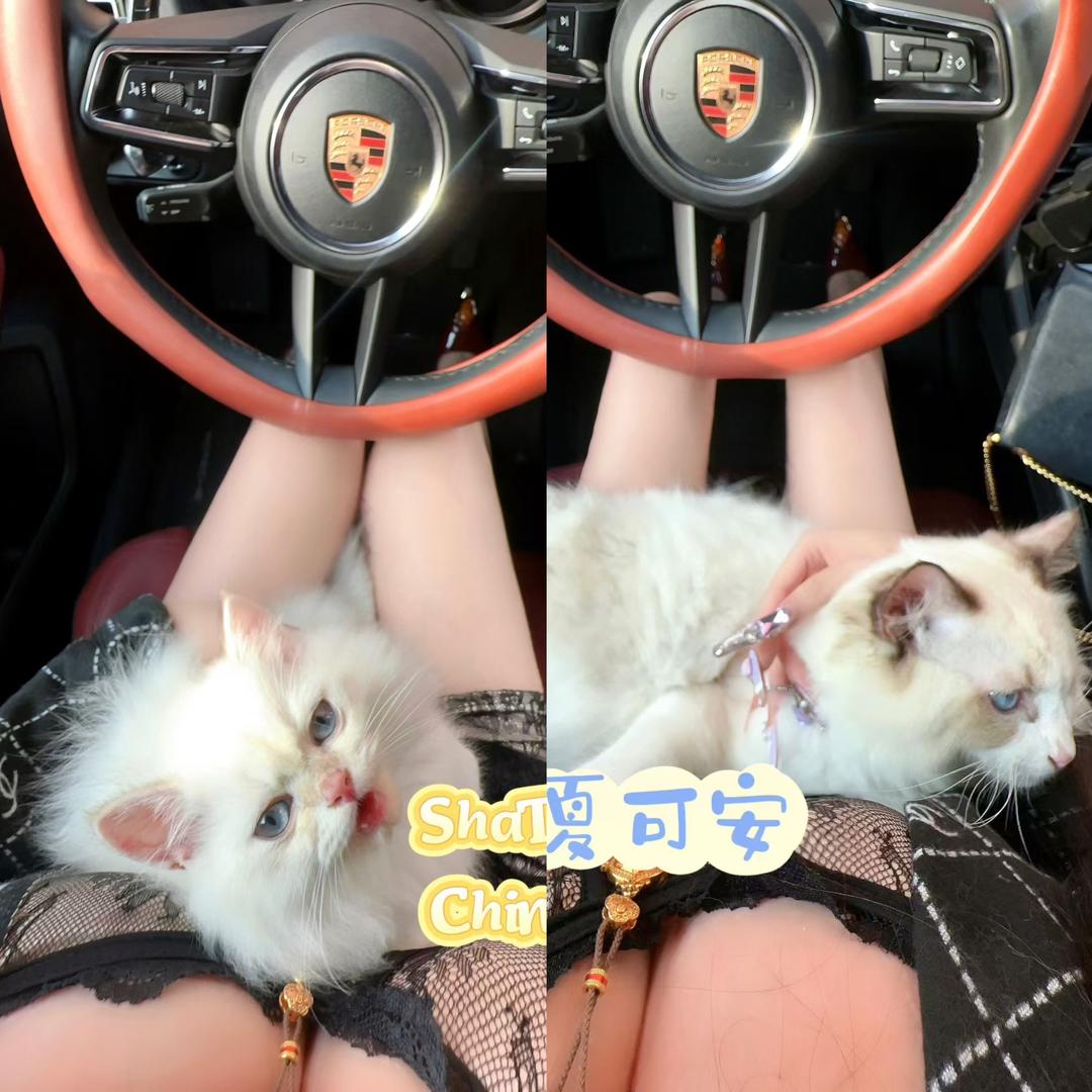 ☀️夏可安-ShaTing莎婷女装👗