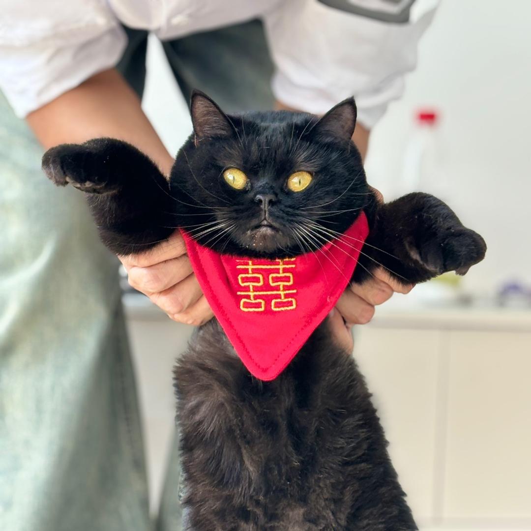 萄喜