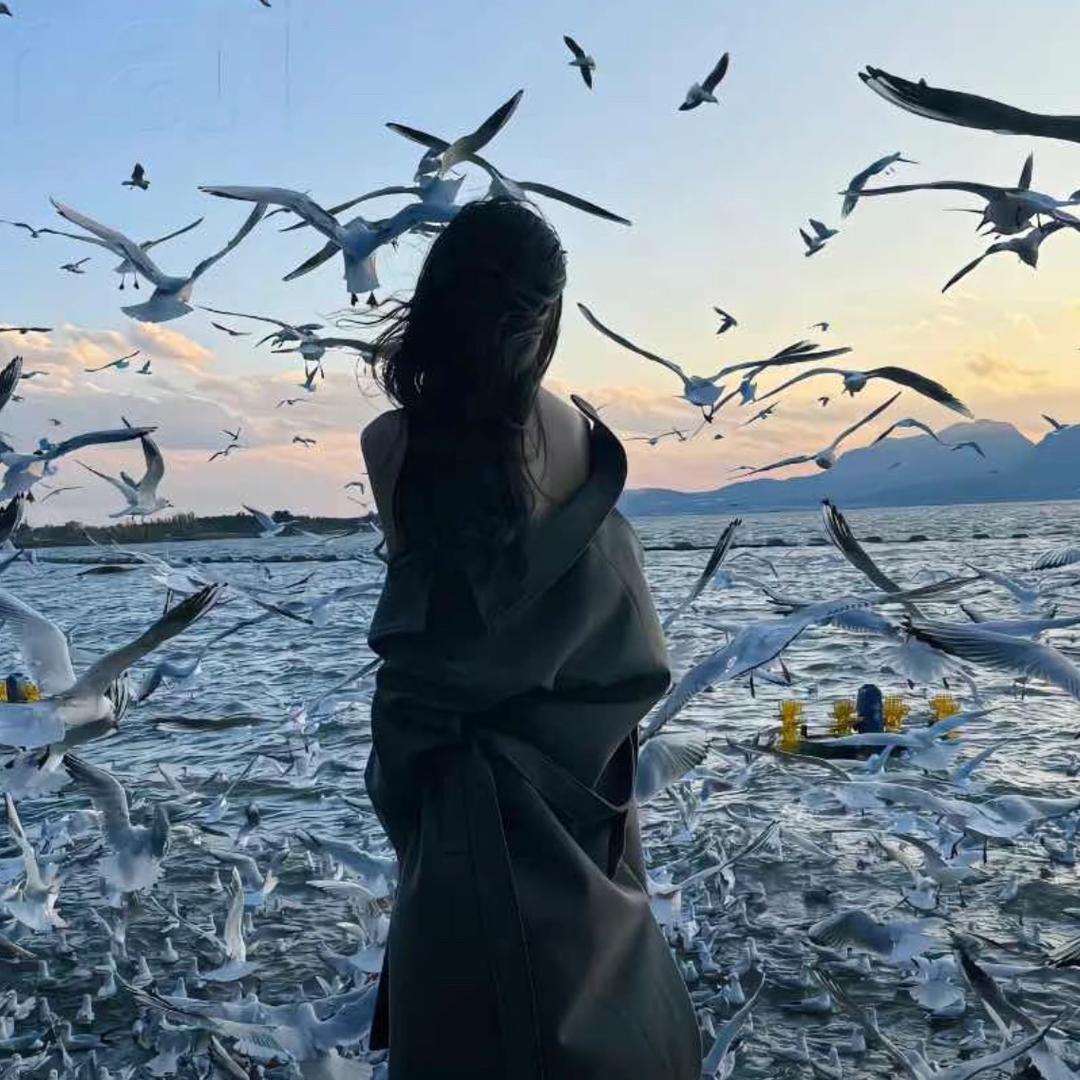 西葫芦炒洋柿子