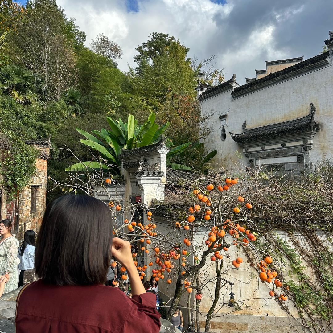 a嘉穗米业