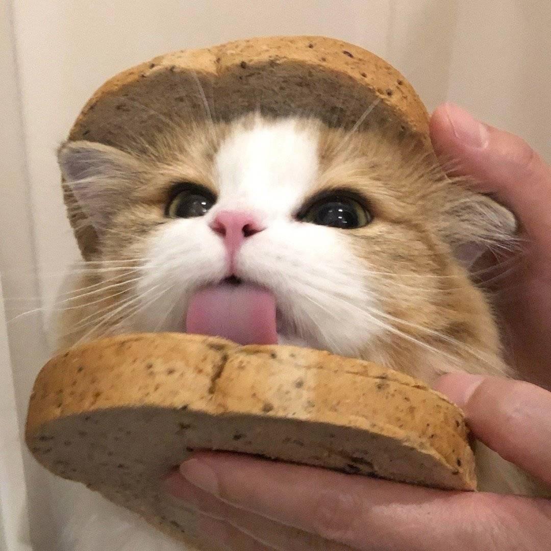 宁鸭蛋