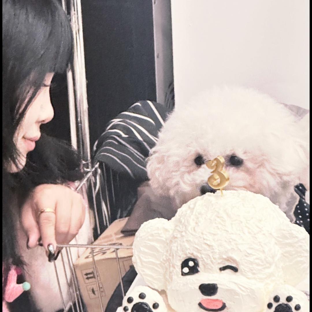 宁晋嗓门大的美甲师【预约版】