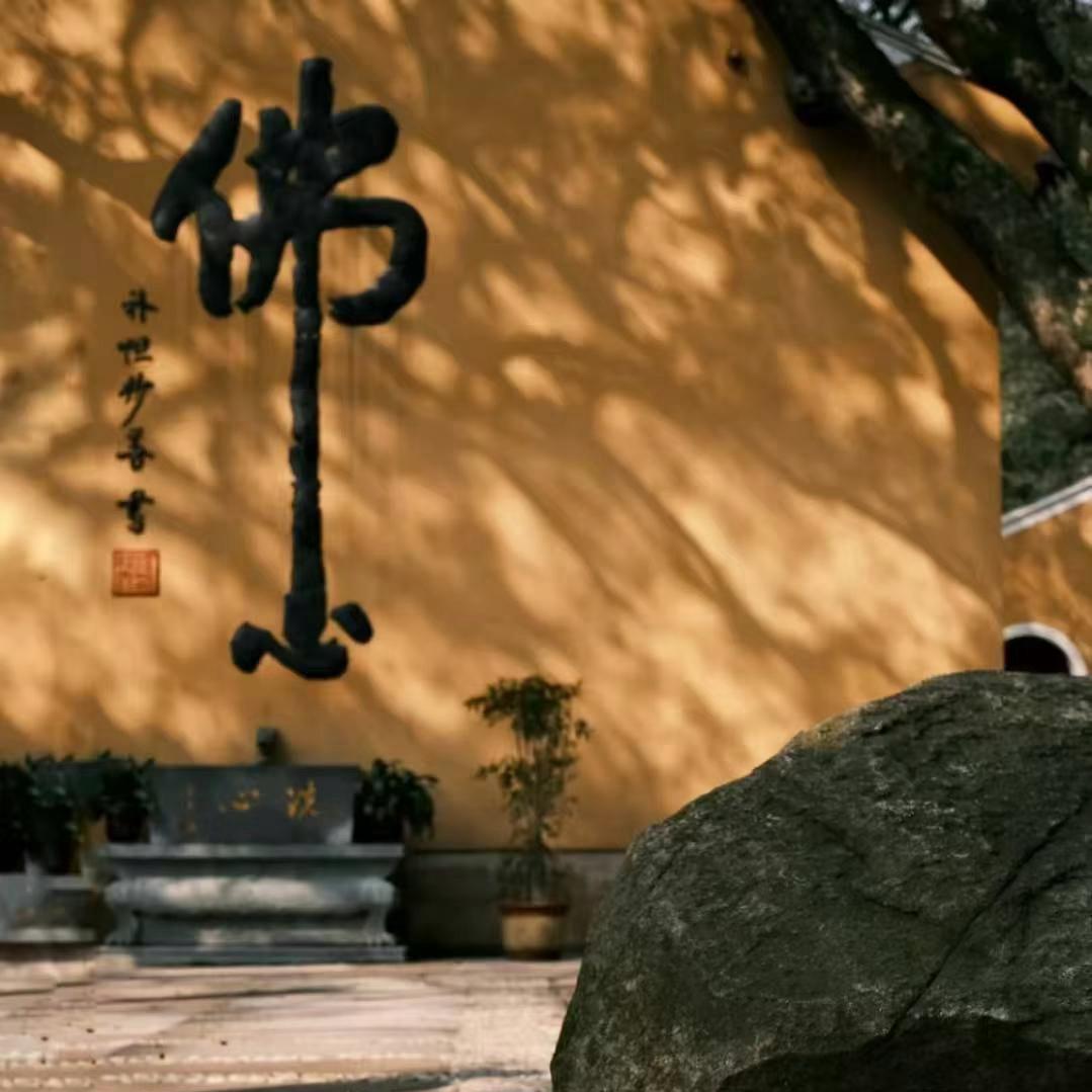 甄实精选工作室