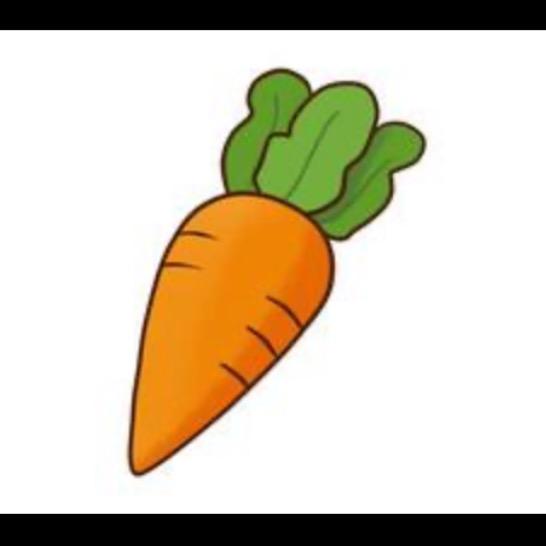 萝卜🥕有点野