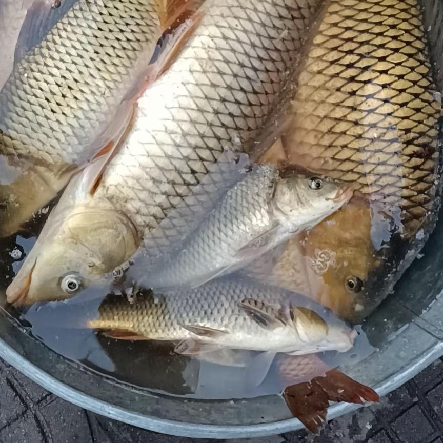 趣享渔乐