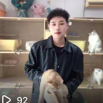 花花   性价比宠物