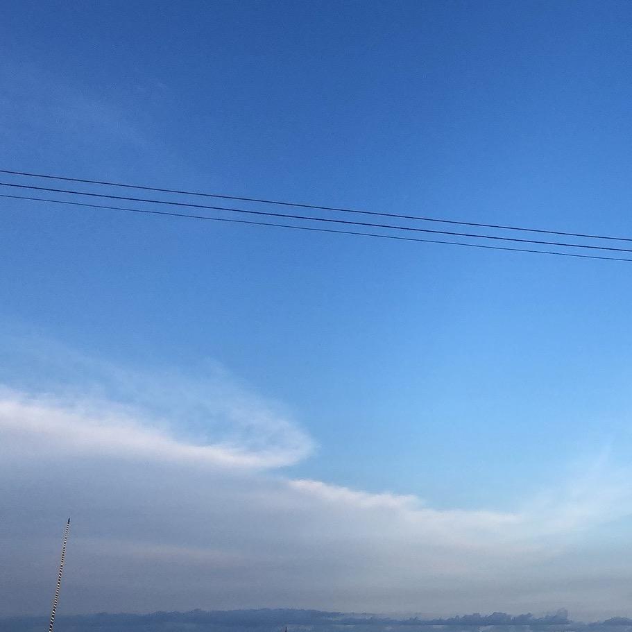 皮燕子°F ᥫᦸᐝ