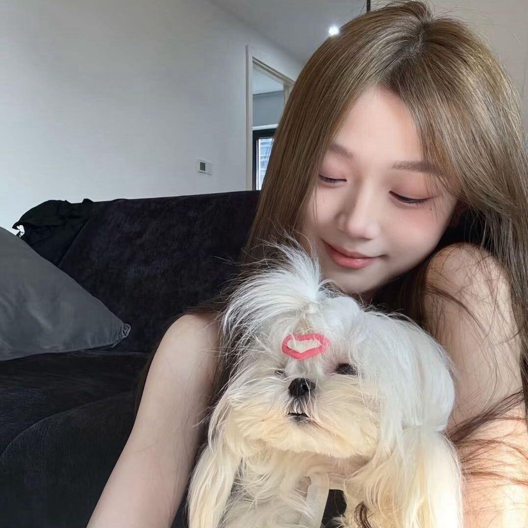 小奶龙🍼