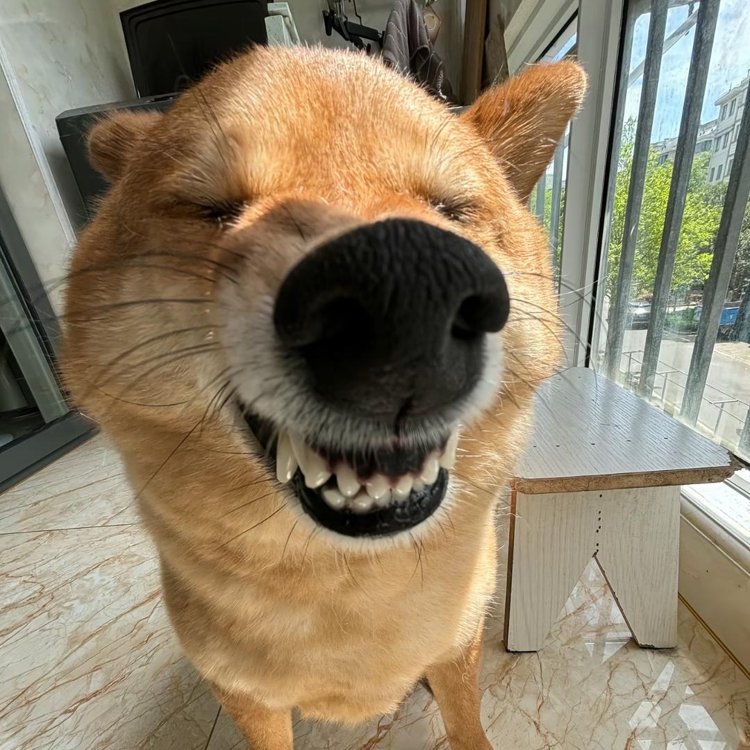 与妳 ·