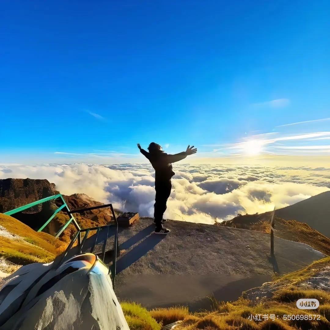 Đꫛrꪶꪱñງ👒