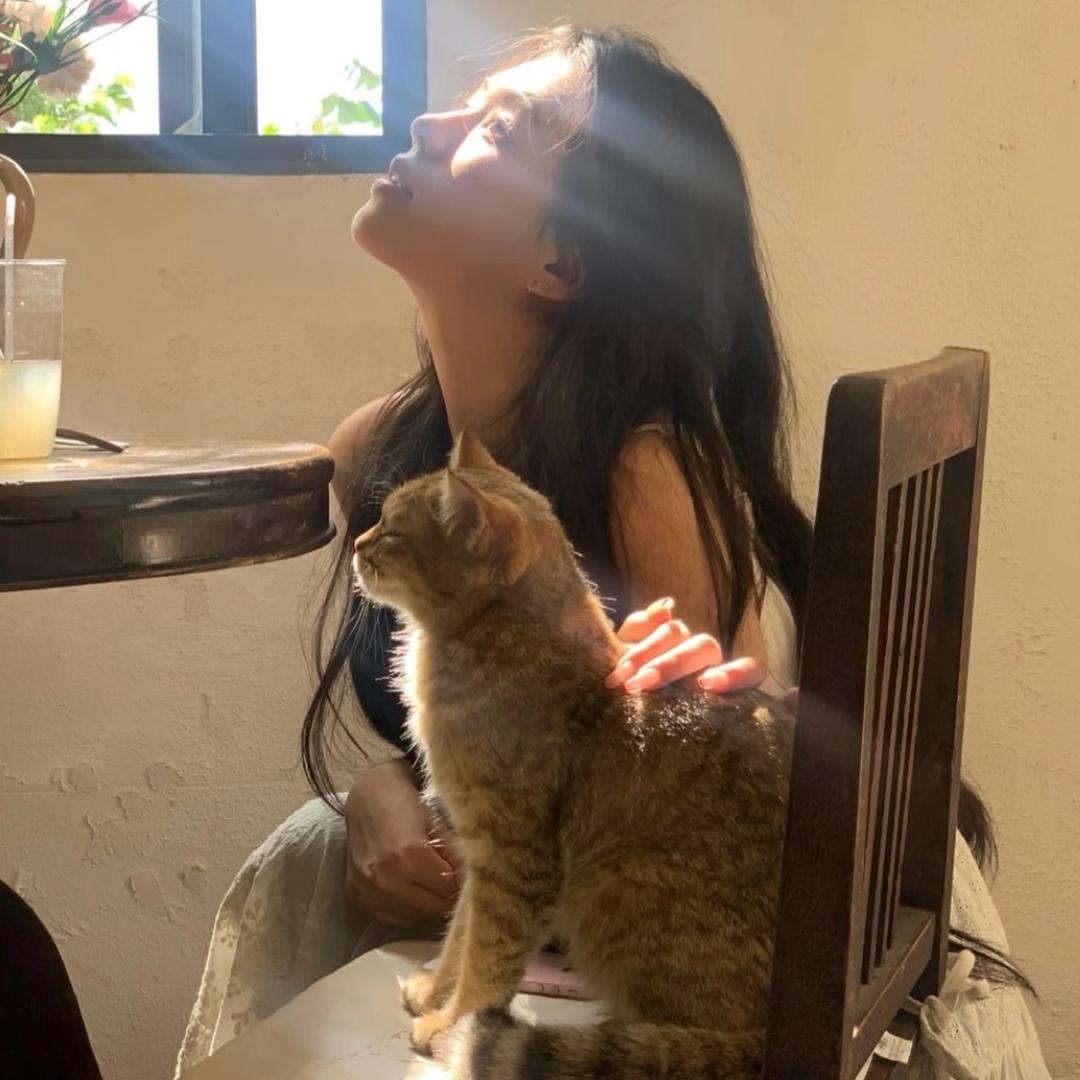 小兔叽叽🐰