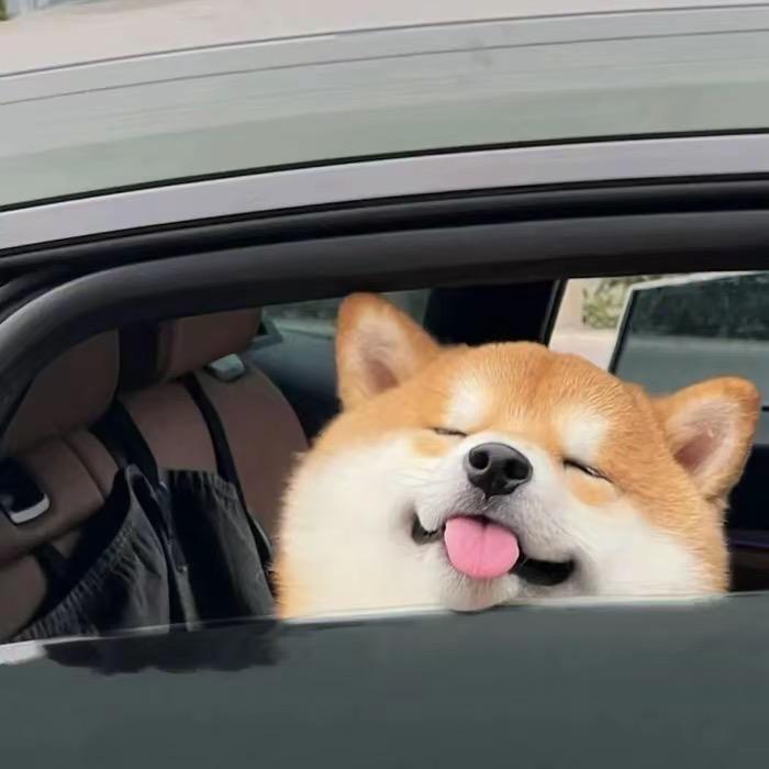 停车坐爱枫林晚