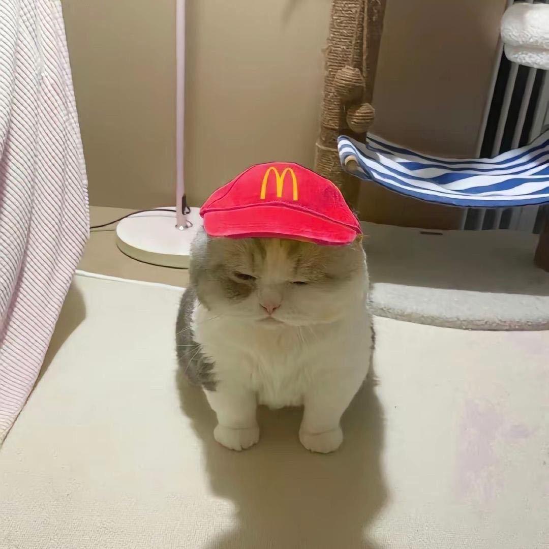 韦泽华