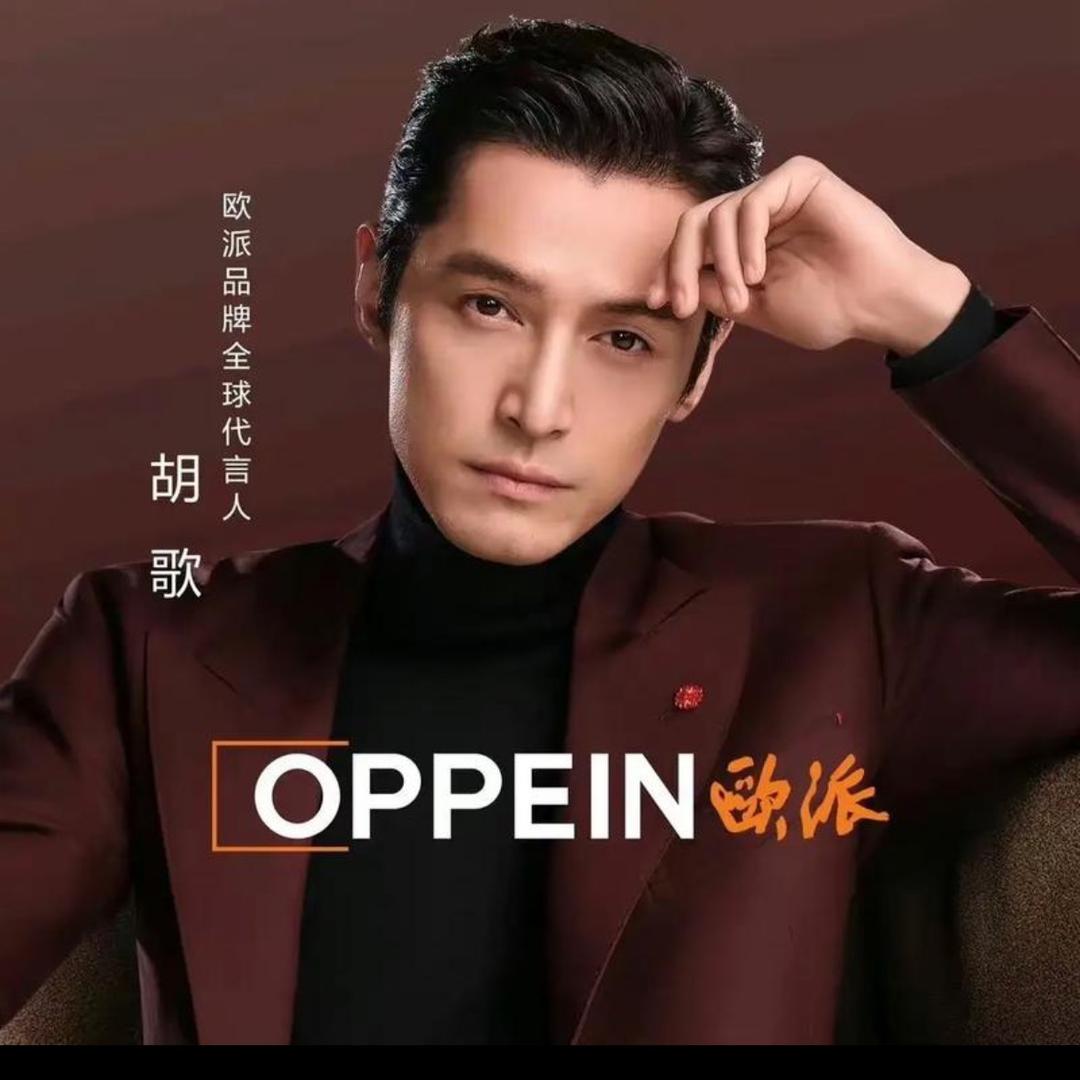 沙城欧派大家居