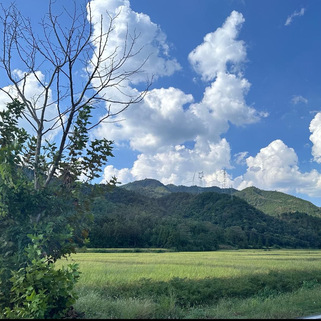 优路在职研带你上岸