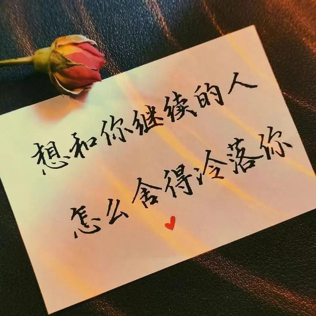 叶落星辰💫