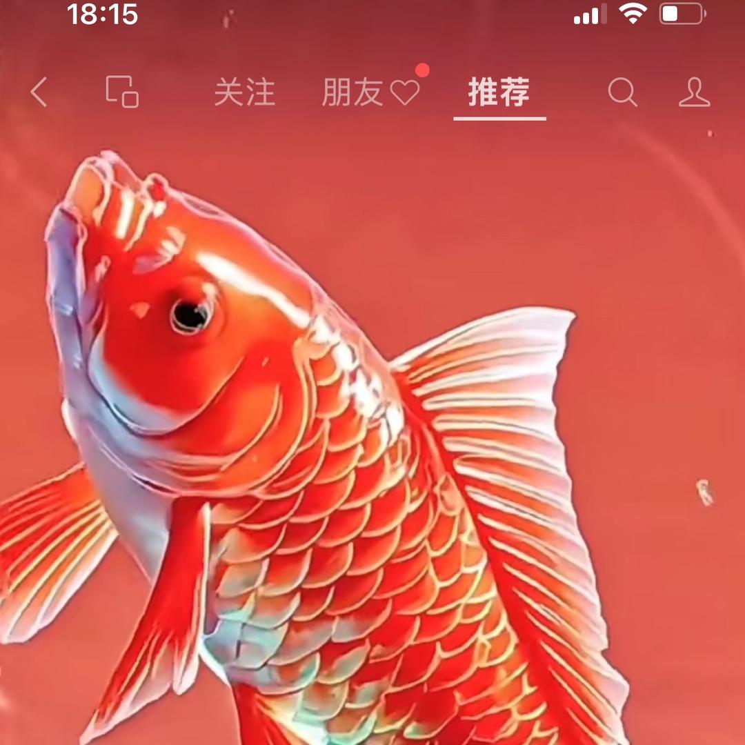 孟大姐好物推荐