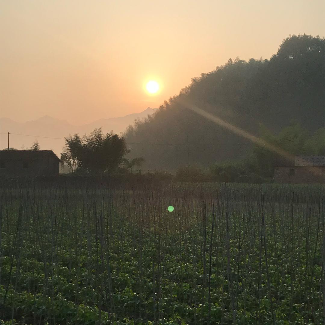 徐小小