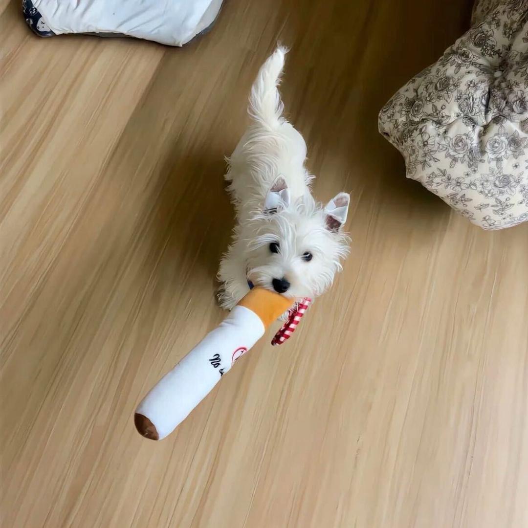 黎远点