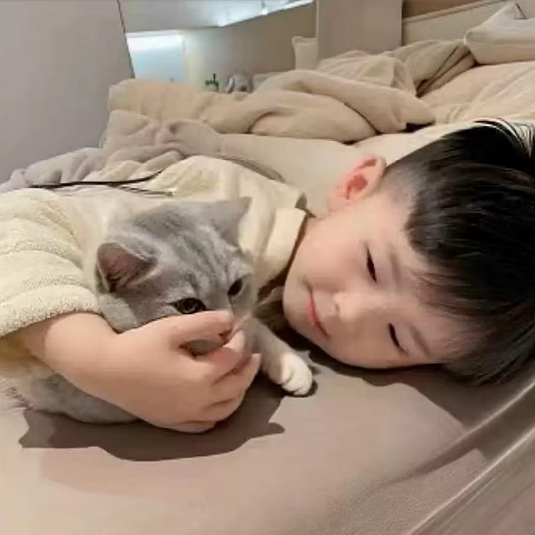趙.