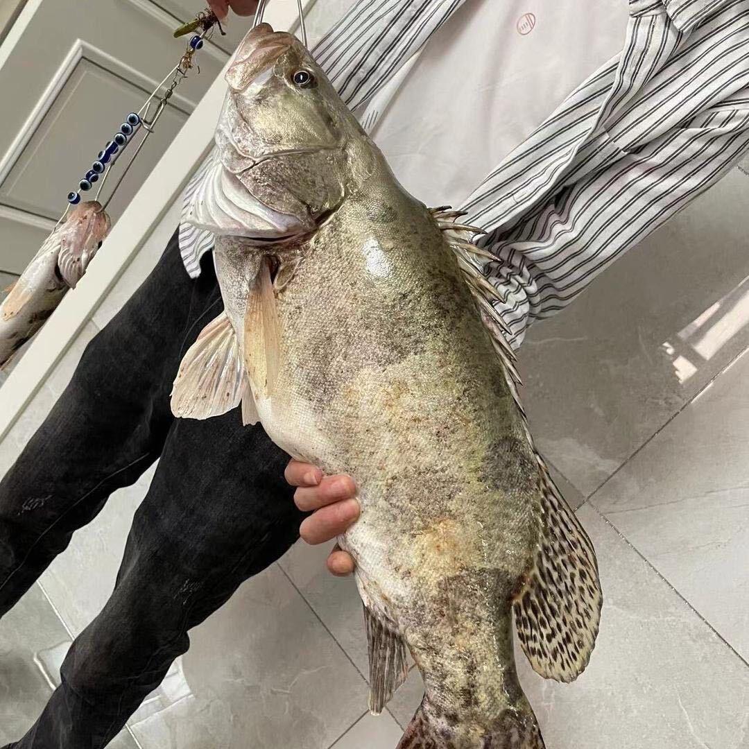 蔡鸟路亚（收售装备）