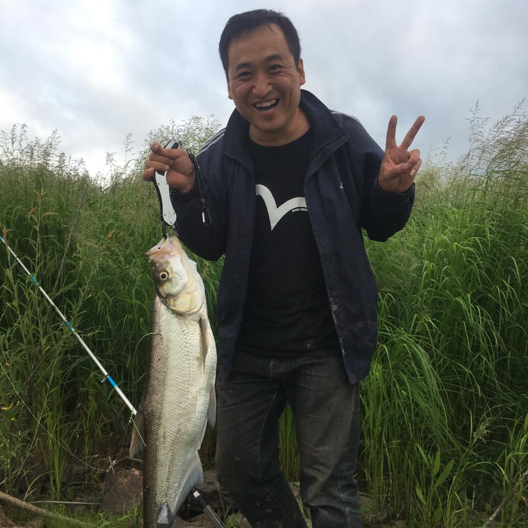 老张不喝白酒🍶