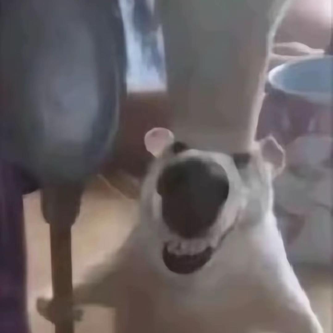 唔知