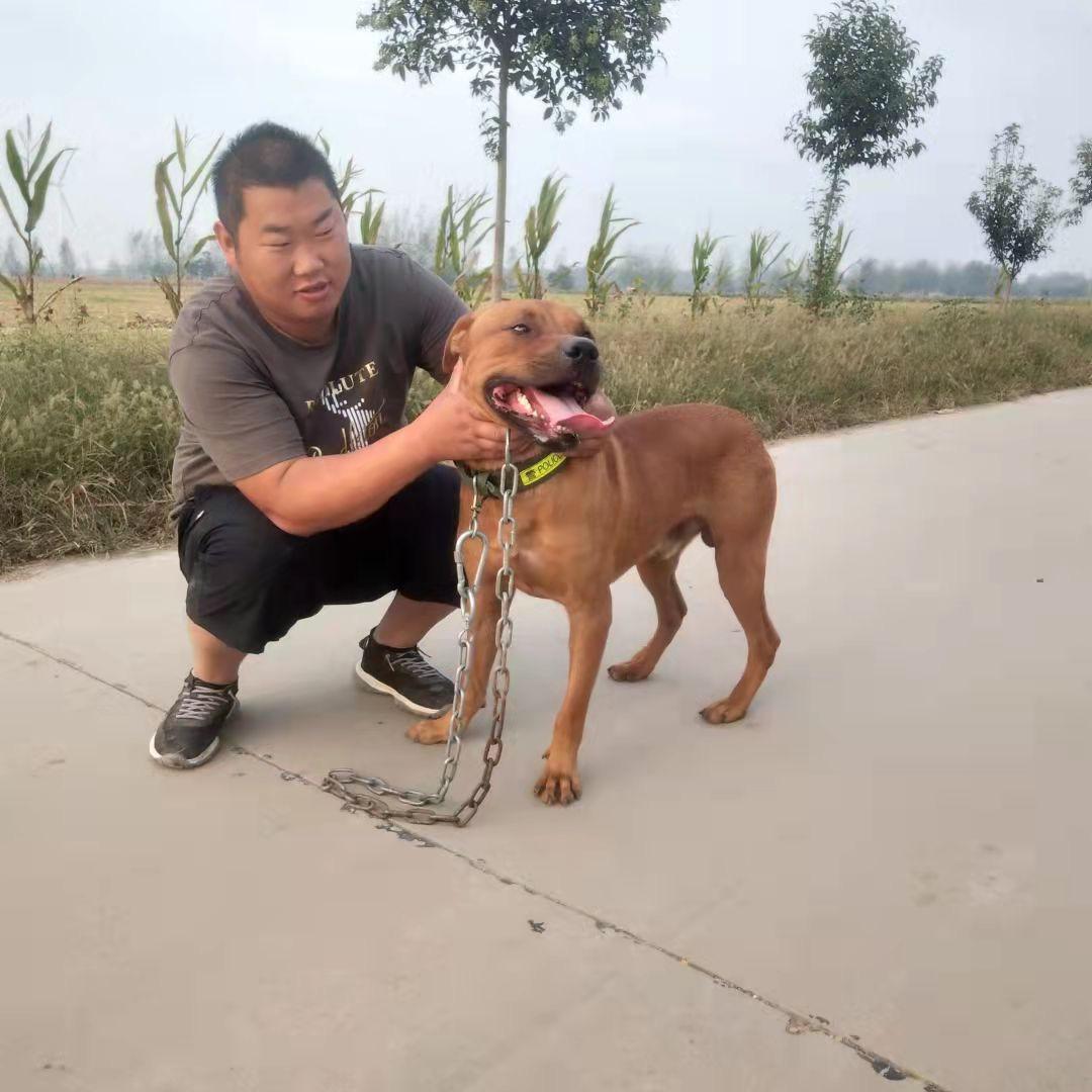 工地一哥