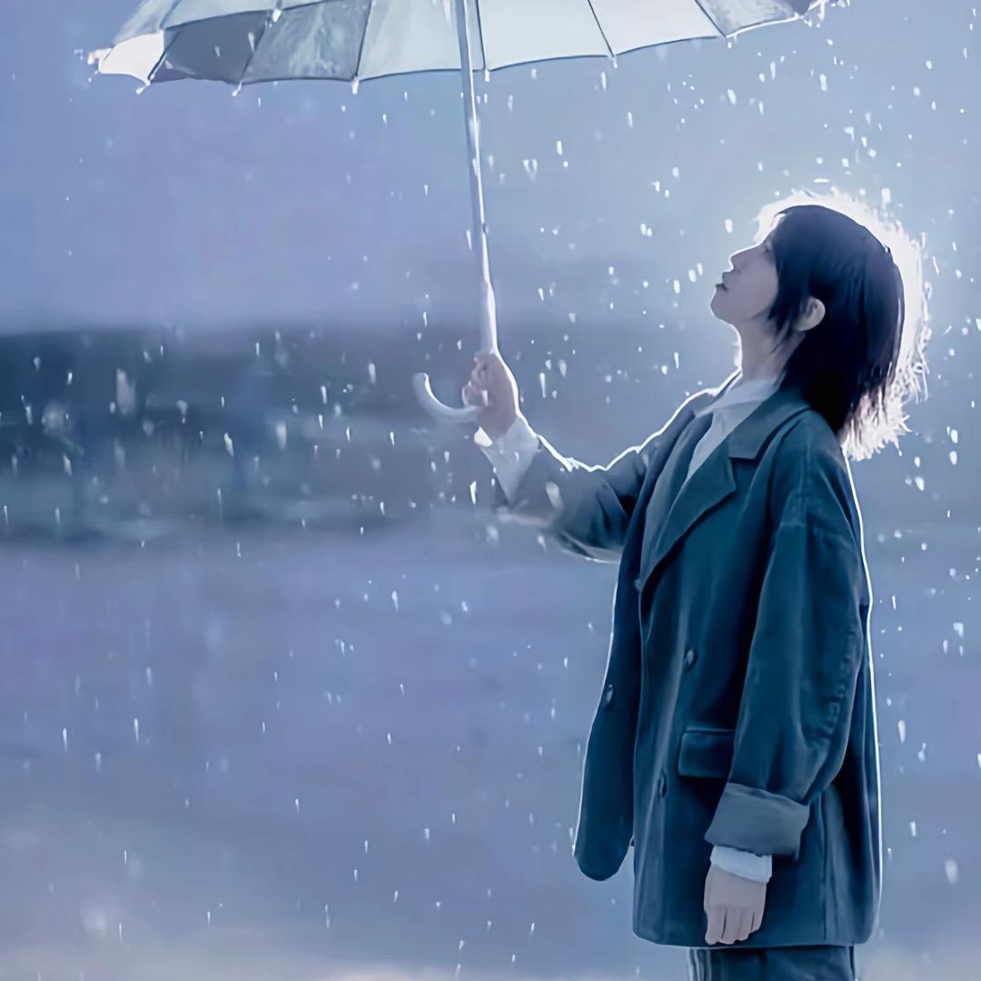 十九号小趴菜