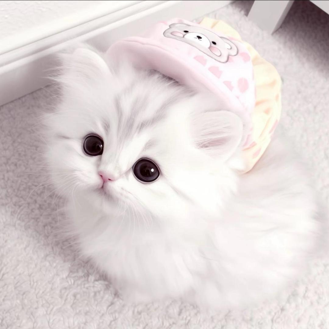 🎀羊羊酱